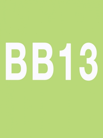 BODY BALANCE 13 Releases BODY BALANCE13 DVD CD Instructor Notes - Click Image to Close