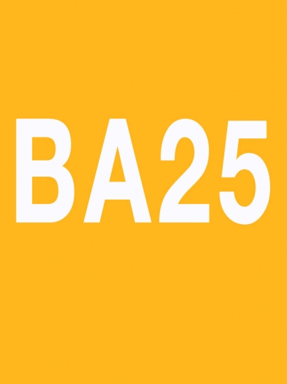 BODY ATTACK 25 Releases BODYATTACK25 DVD CD Instructor Notes - Click Image to Close