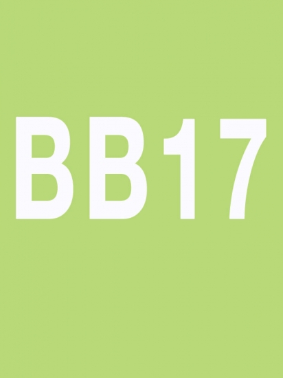 BODY BALANCE 17 Releases BODY BALANCE17 DVD CD Instructor Notes - Click Image to Close