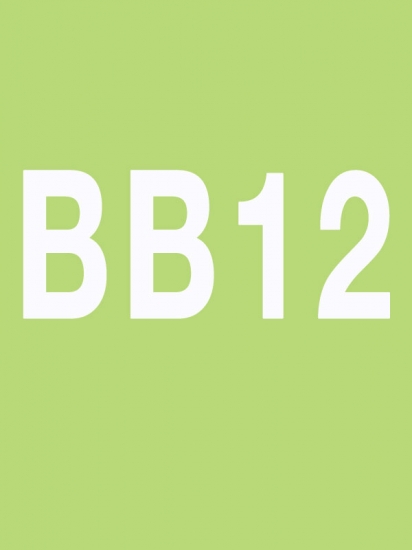 BODY BALANCE 12 Releases BODY BALANCE12 DVD CD Instructor Notes - Click Image to Close