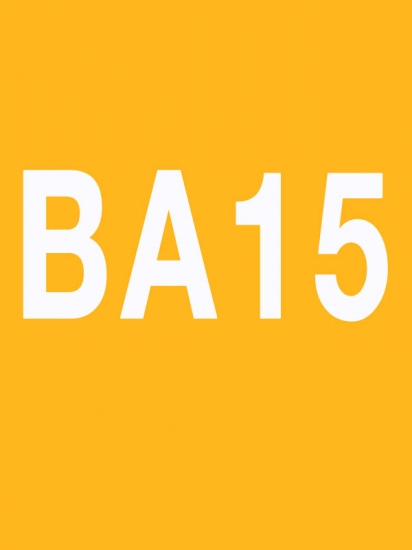 BODY ATTACK 15 Releases BODYATTACK15 CD Instructor Notes - Click Image to Close