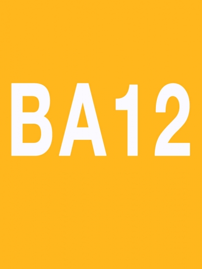 BODY ATTACK 12 Releases BODYATTACK12 CD Instructor Notes - Click Image to Close